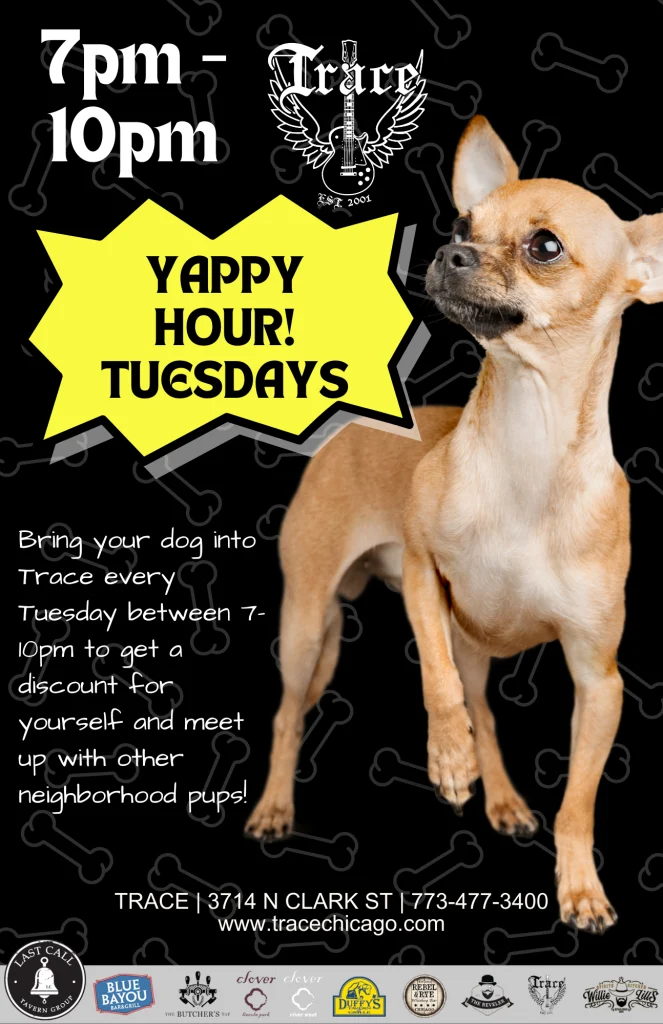 Yappy Hour at Trace